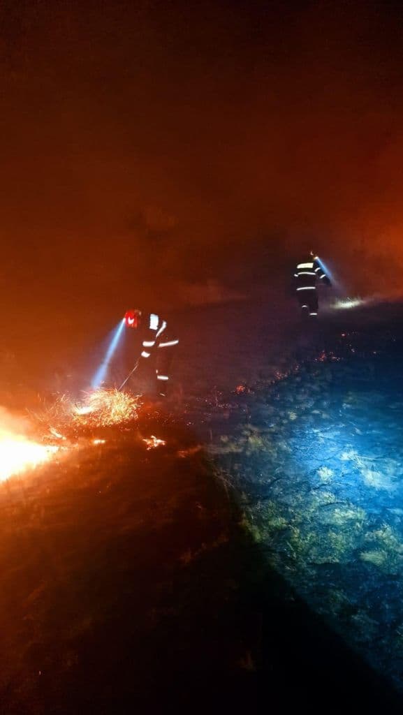Incendiu vegetatie_006