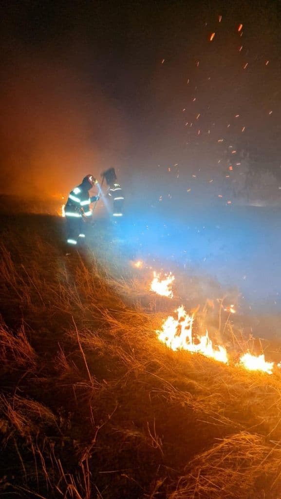 Incendiu vegetatie_007