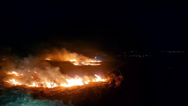 Incendiu vegetatie_008