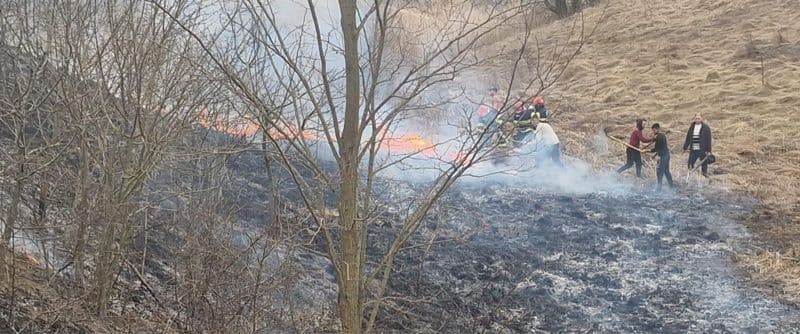Incendiu vegetatie_009