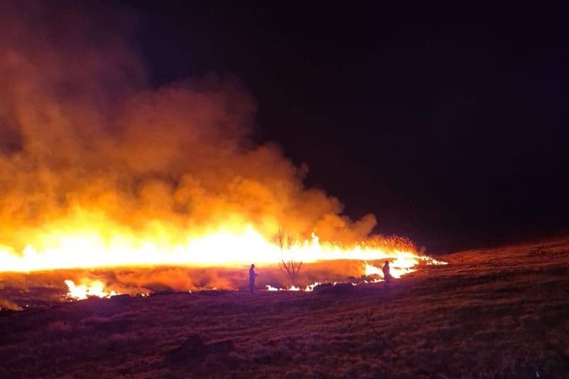 Incendiu vegetatie_010