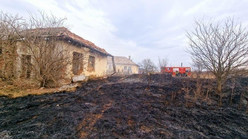 Incendiu vegetatie_011