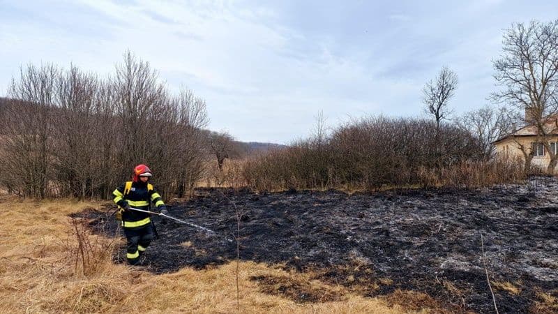Incendiu vegetatie_014
