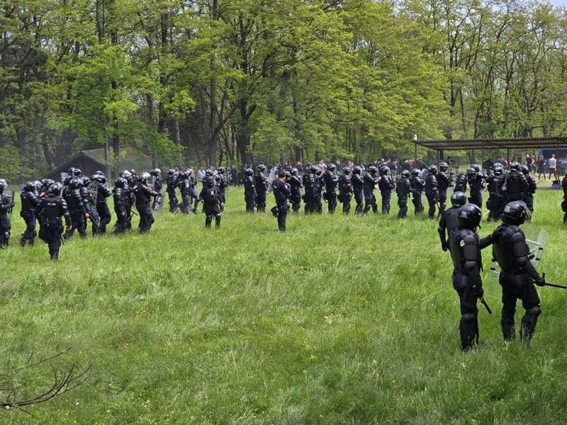Zimbru 2025 N-E_005