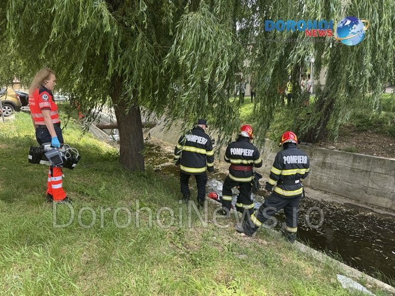 Cazut in parau la Dorohoi_01
