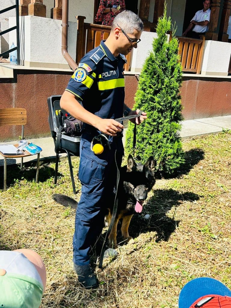 siguranta 06