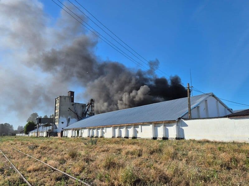 Incendiu depozit cereale_002