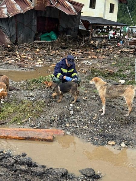 inundatii 05