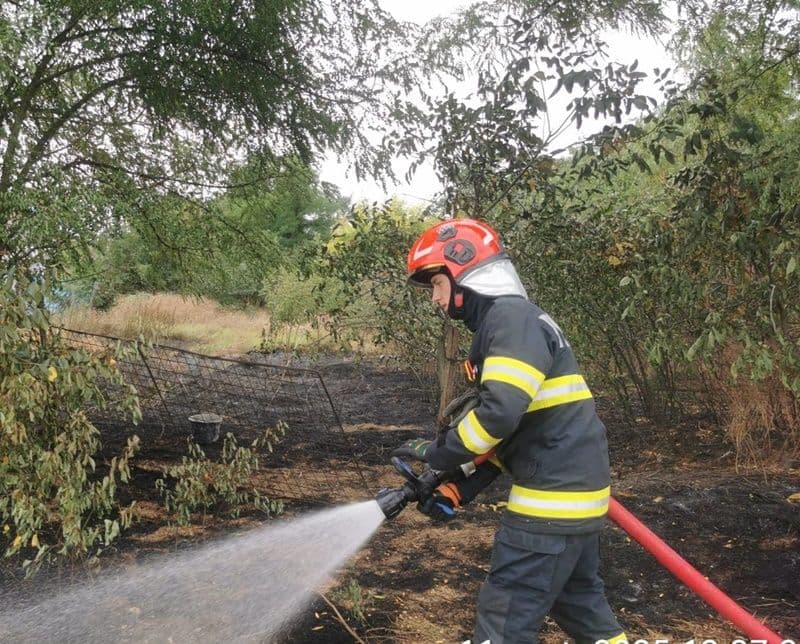 Incendii Bt_004