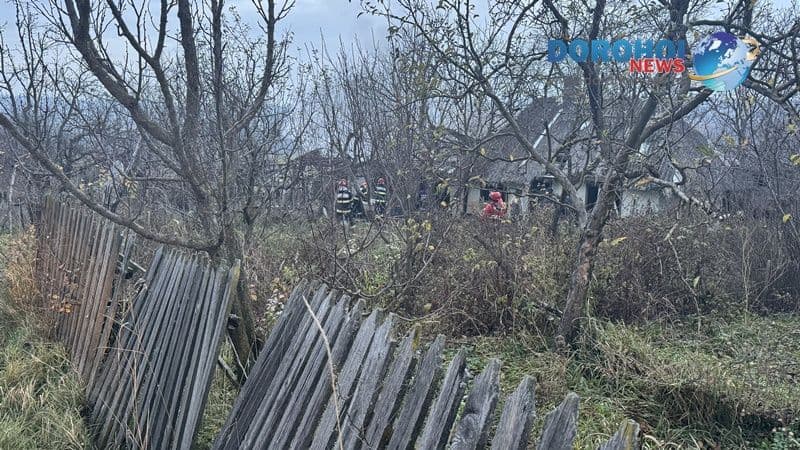 Incendiu_Padureni_10