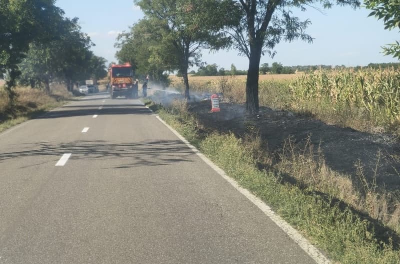 Pompierii au intervenit pentru localizarea și lichidarea a trei incendii de vegetație uscată