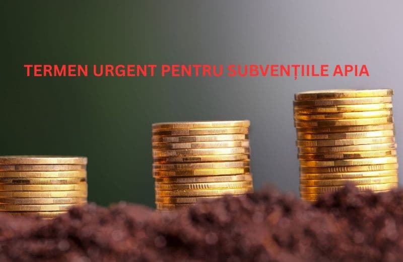 APIA reamintește: 5 iunie 2026 este termenul-limită pentru depunerea Cererilor de plată