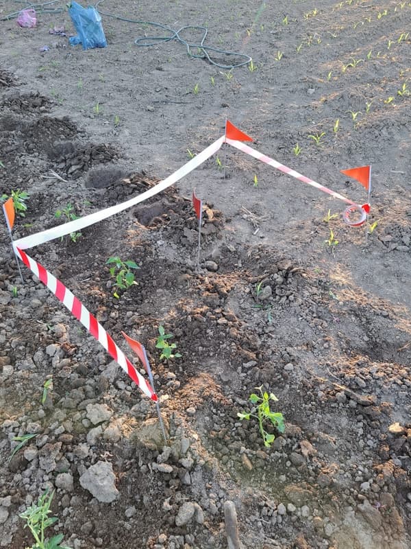 Două grenade descoperite în județ în ultimele ore