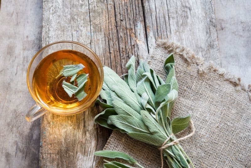 Amestecul de plante care stă la baza celui mai energizant ceai