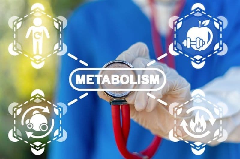 Secretele unui metabolism activ după 40 de ani