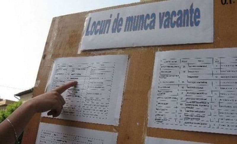 AJOFM Botoșani transmite locurile de muncă vacante la nivelul județului Botoșani - 19.01.2026