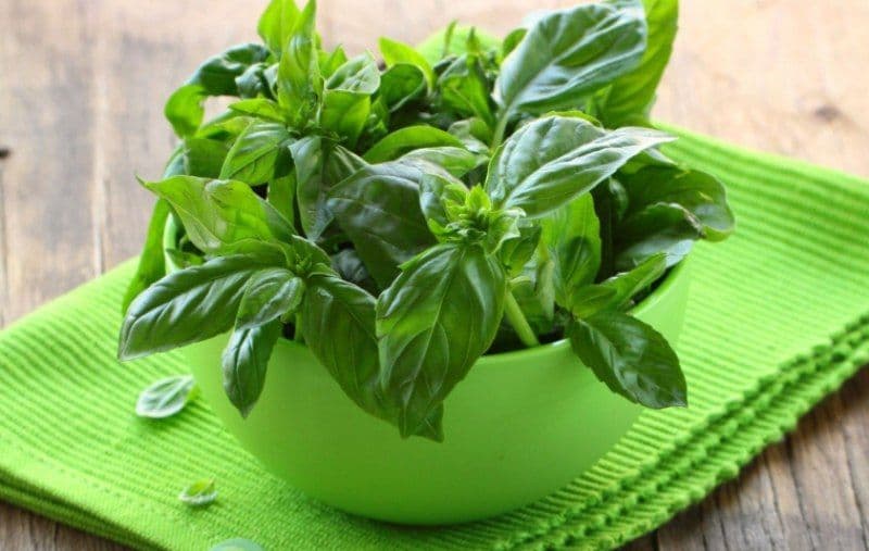 Planta minune care scade colesterolul