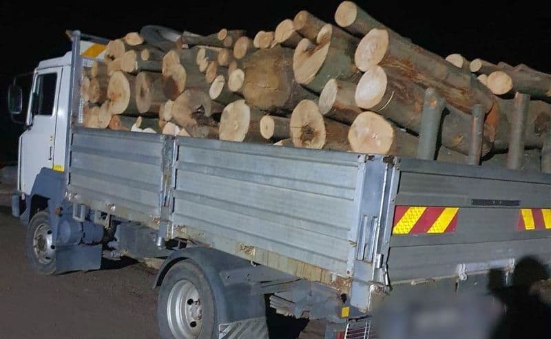 Material lemnos confiscat de polițiștii dorohoieni