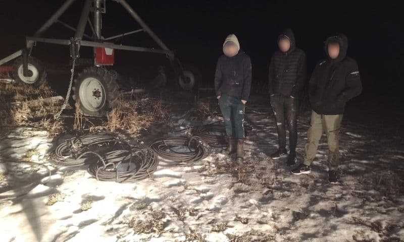 Depistați de către polițiștii de frontieră de la Stânca în timp ce tăiau cabluri din sistemul de irigaţii 