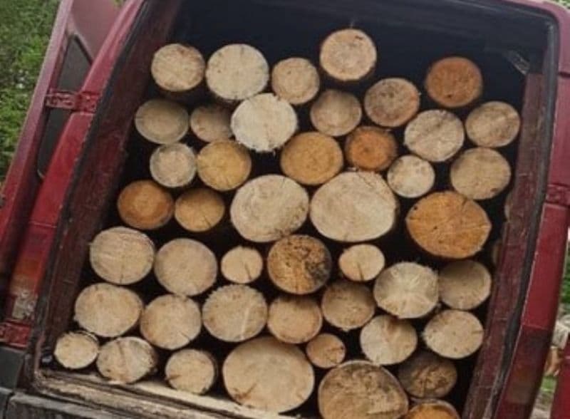 3 metri cubi de material lemnos confiscat de polițiștii din Dorohoi
