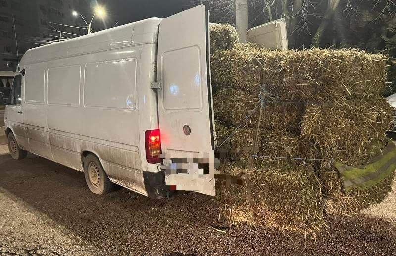 Material lemnos confiscat de polițiștii din Botoșani