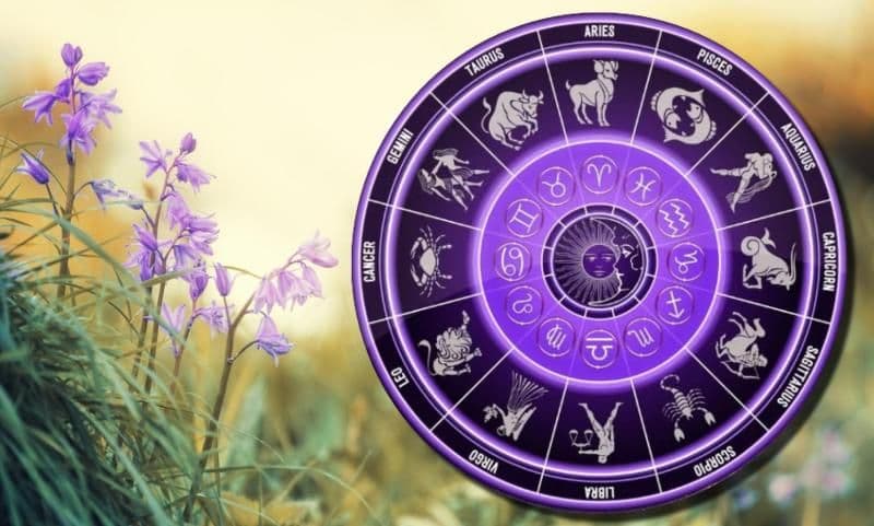 Horoscopul săptămânii 2-8 martie: Racii răsuflă liniștiți, Leii sunt la un pas de succes