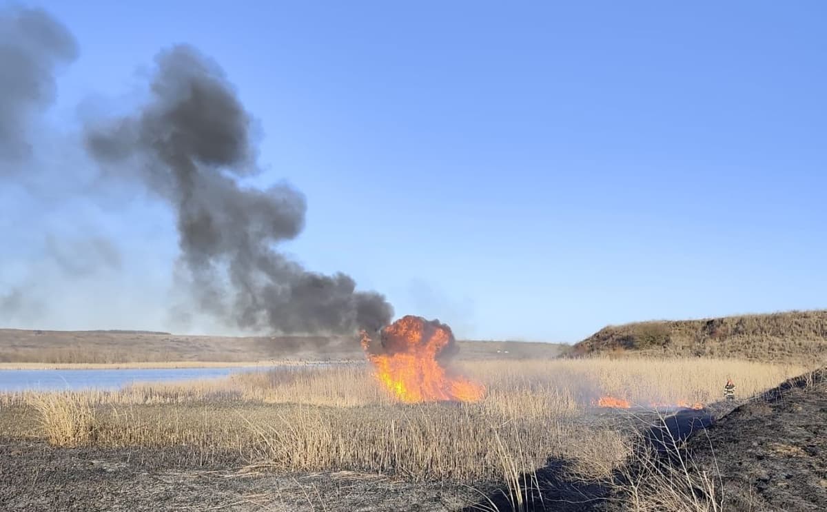 Două incendii de vegetație izbucnite la Vârfu Câmpului și Bălușeni