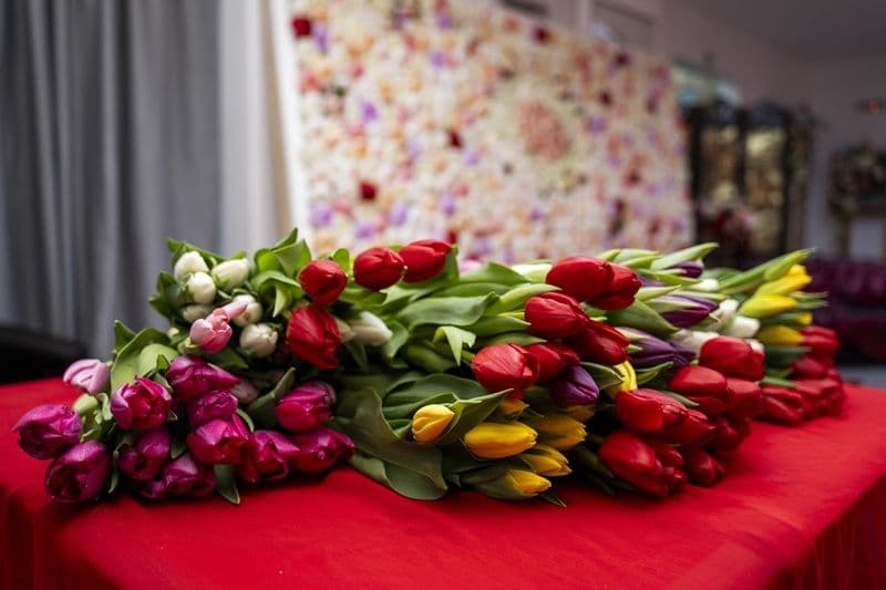 Momente memorabile la cea de-a 42-a ediție a Festivalului Național de Muzică Ușoară Românească „Mărțișor Dorohoian”