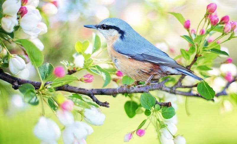 Horoscopul săptămânii 23 – 29 martie: Blocajele încep să dispară pentru toate zodiile