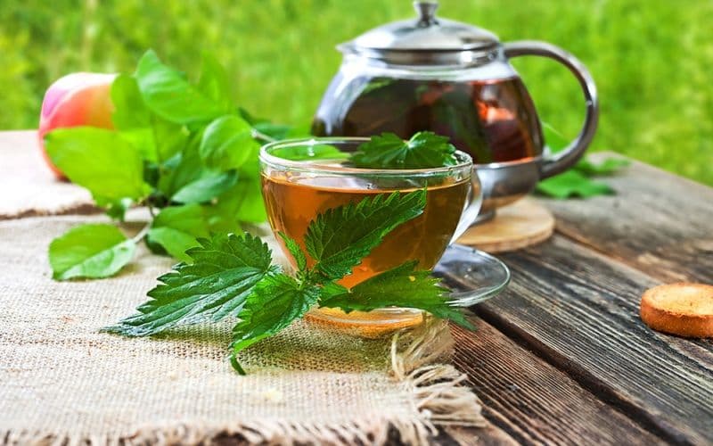Ceaiul de urzică: Un remediu natural puternic pentru sănătatea ta