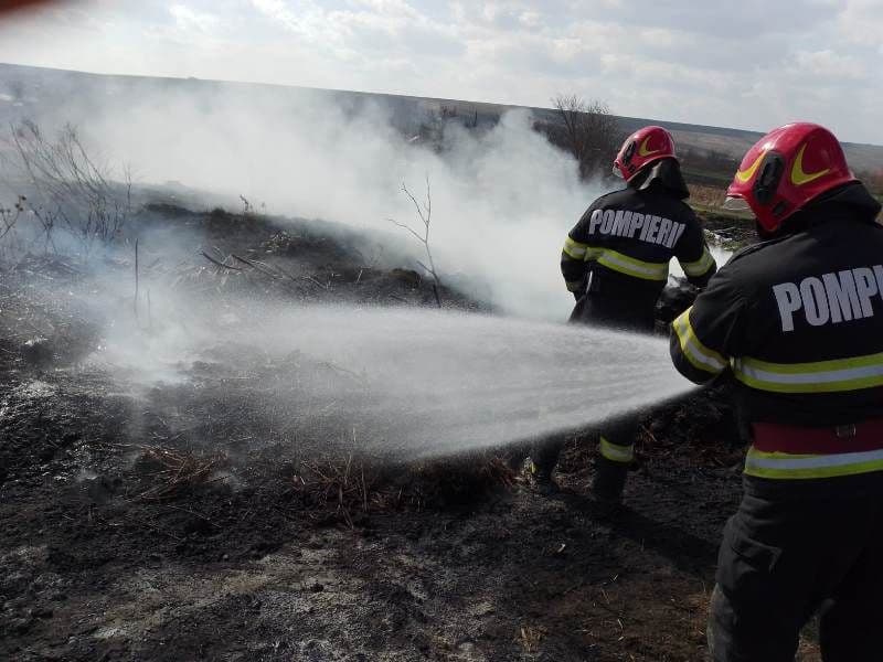 Incendii de vegetație în județ. Focul a distrus terenuri și culturi