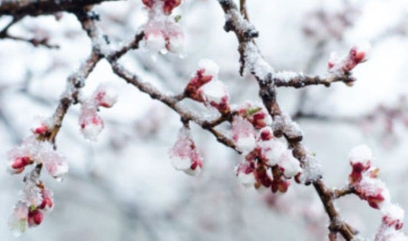 Avertizare meteo de ploi, ninsori și vânt puternic în toată țara. Prognoza meteo ANM actualizată