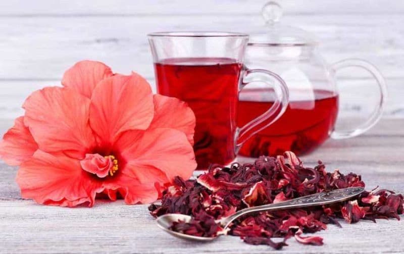 Descoperă beneficiile ceaiului de hibiscus și savurează gustul său unic