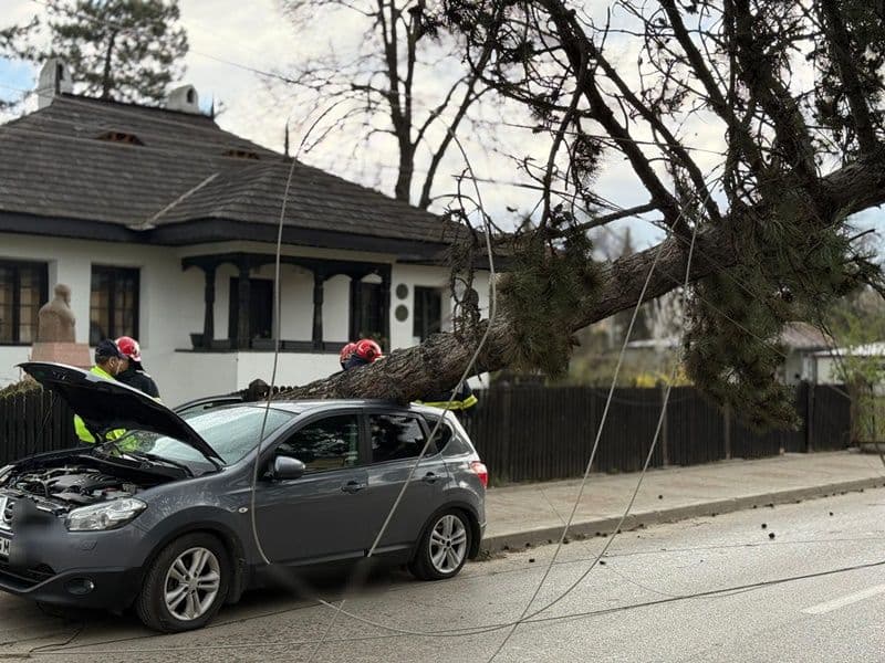 Vântul a doborât un copac și doi stâlpi de electricitate în Botoșani. Un autoturism a fost avariat - FOTO