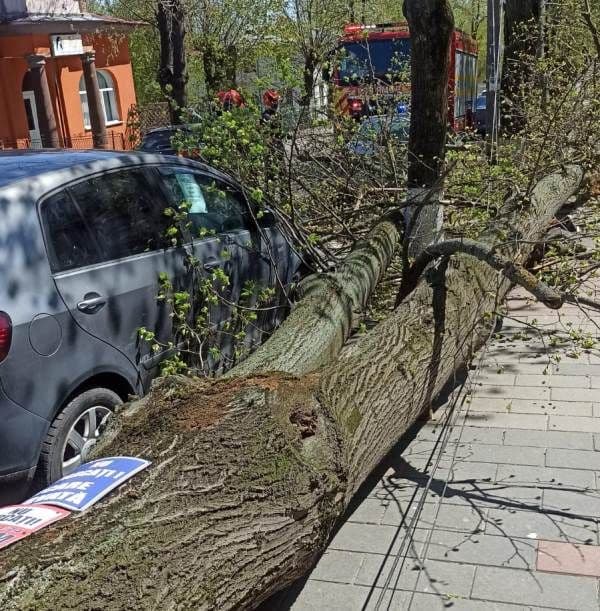 Intervenții în lanț ale pompierilor, după codul portocaliu de vânt în Botoșani
