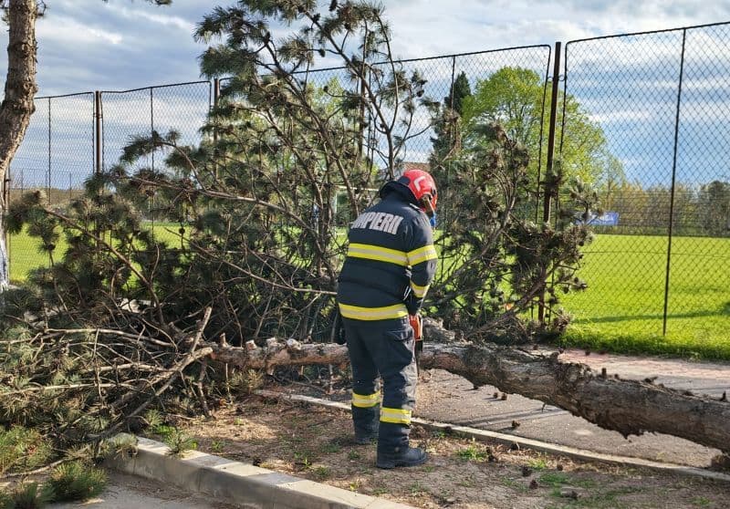 Intervenții ale pompierilor în urma Codului Portocaliu de vânt