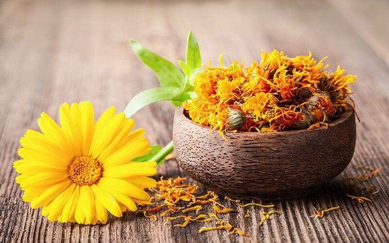 Beneficiile extraordinare din extractul natural de gălbenele