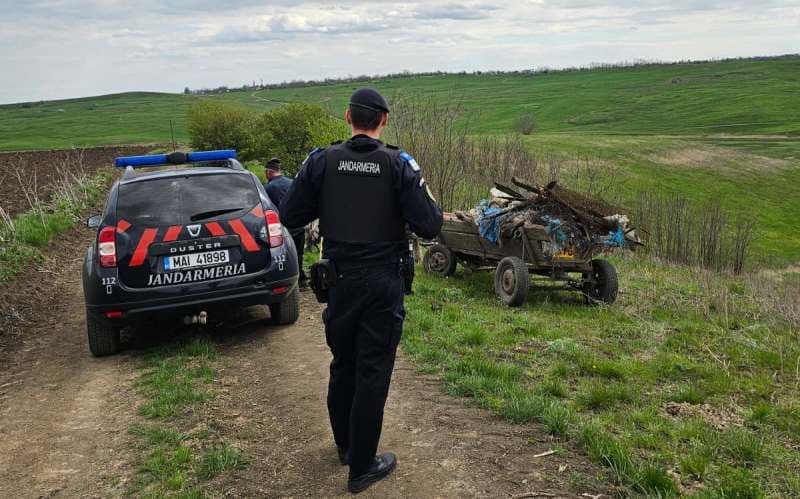 Amendă usturătoare pentru un bărbat care a aruncat gunoi la marginea comunei Vorniceni
