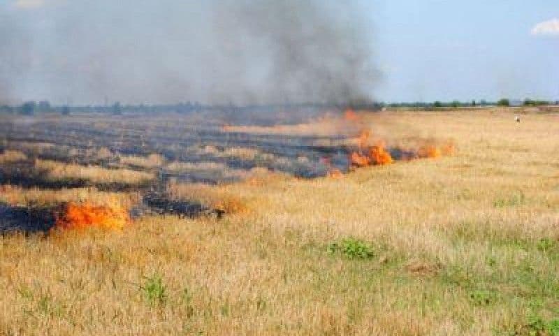 Primăria Dorohoi: Măsuri privind prevenirea incendiilor de vegetaţie uscată produse ca urmare a utilizării focului pentru curăţarea terenurilor de pe 