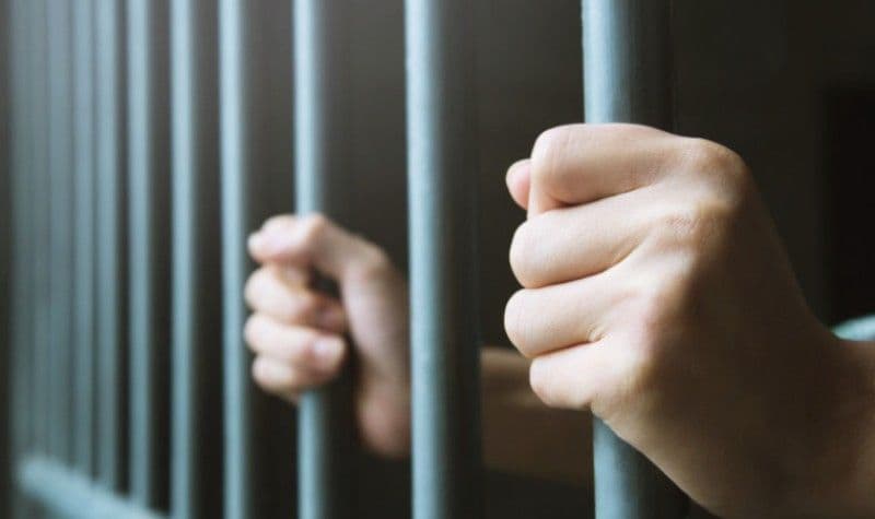 Închisoare cu executare după ce și-a ucis propriul câine. Sentință definitivă. Un bărbat din Suceava, dus direct la penitenciarul Botoșani