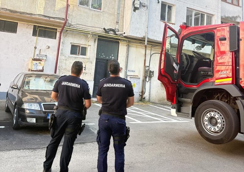 Jandarmii solicitați să intervină pentru a îndepărta un roi de albine de pe o stradă din Botoșani
