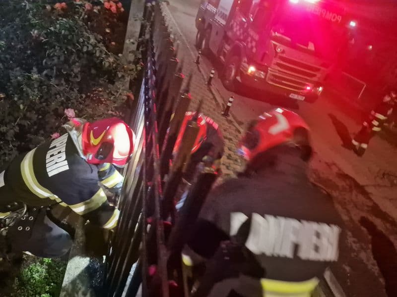 Misiune de salvare a pompierilor din Dorohoi: Un câine a rămas prins cu capul într-un gard de fier