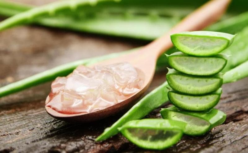 Ce beneficii are sucul de aloe vera pentru sănătate?