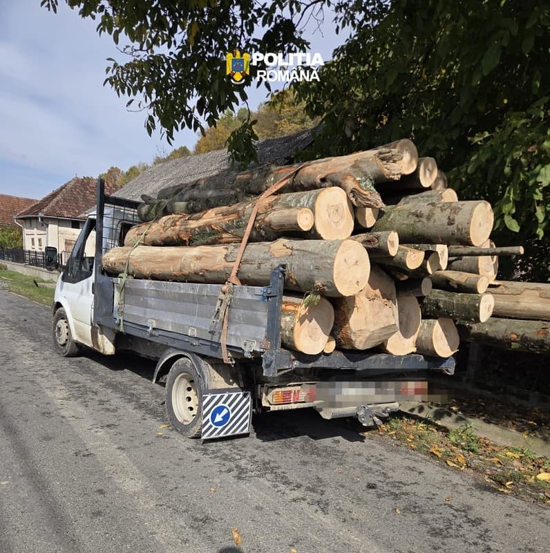 Amenzi de 7.000 de lei și 6 metri cubi de material lemnos confiscat