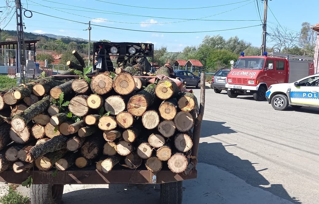 Material lemnos confiscat de polițiștii dorohoieni, la Leorda