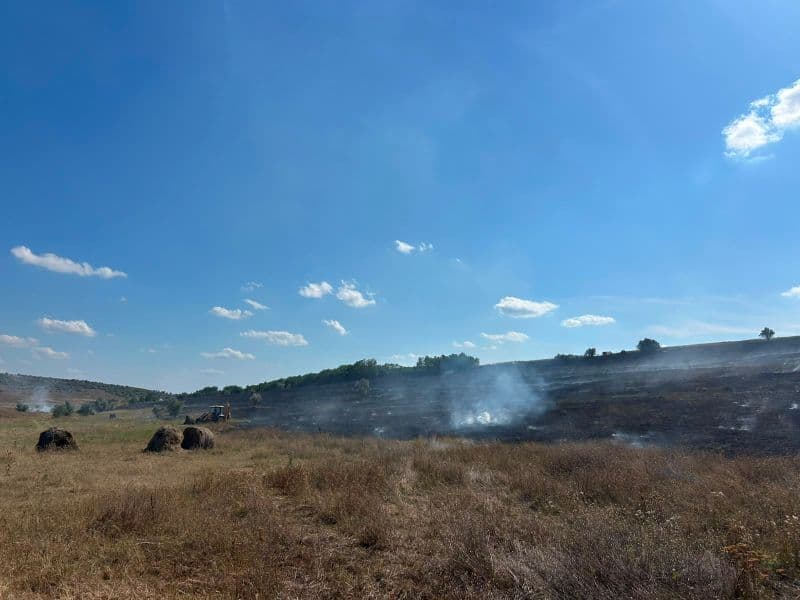 Incendiu de proporții izbucnit pe un câmp din județul Botoșani