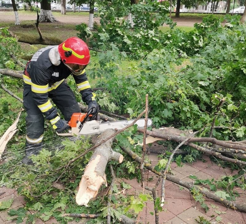 Creangă uriașă căzută în parcul Mihai Eminescu din Botoșani. Pompierii au intervenit