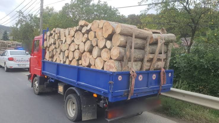 Amenzi aplicate și material lemnos confiscat de polițiști