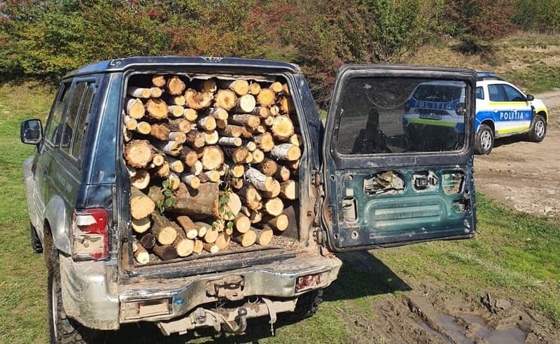 Peste 13 metri cubi de material lemnos confiscat de polițiști