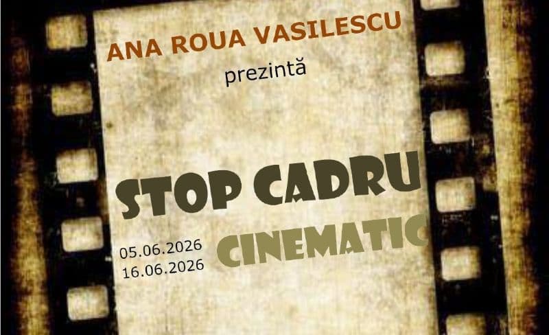 Expoziția „Stop cadru cinematic”, Ana Roua Vasilescu
